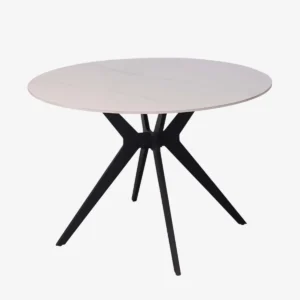 RHEA Table ronde